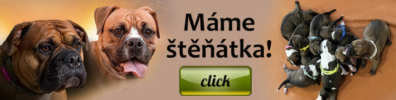 banner.png