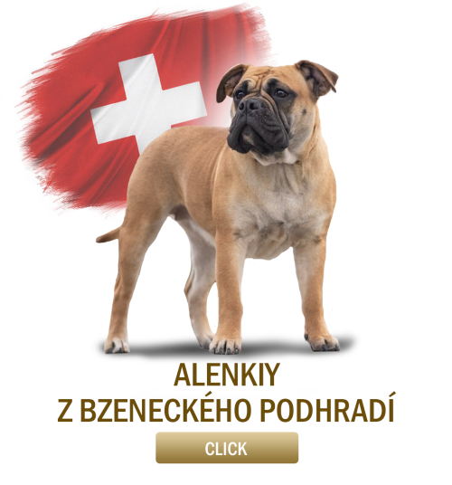 alenkyi.png