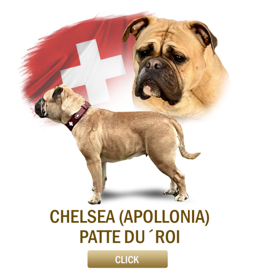 chelsea.png