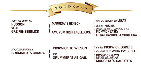 rodokmen_chelsea.png